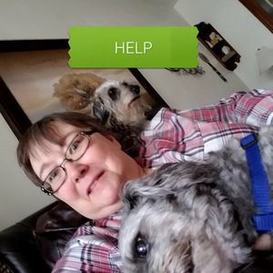 Meet your Posher, Lori